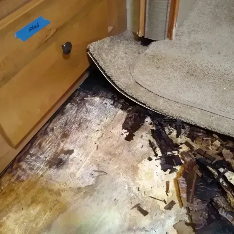 Best Wood Floor Water Damage Service in Milan, MO